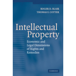 Intellectual Property: Economic and Legal Dimensions of Rights and Remedies