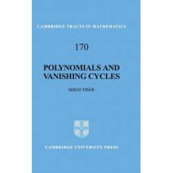 Polynomials and Vanishing Cycles