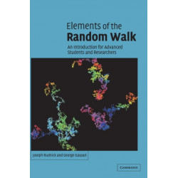 Elements of the Random Walk: An introduction for Advanced Students and Researchers