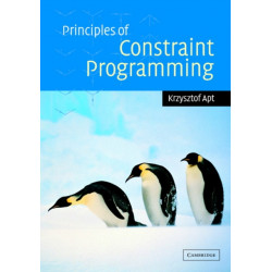 Principles of Constraint Programming