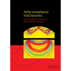 Stellar Astrophysical Fluid Dynamics