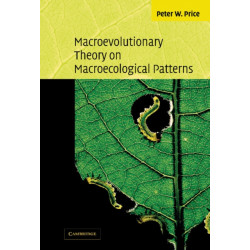 Macroevolutionary Theory on Macroecological Patterns