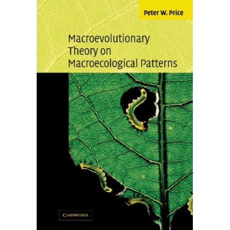 Macroevolutionary Theory on Macroecological Patterns