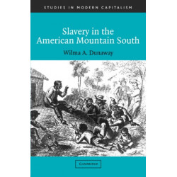 Slavery in the American Mountain South