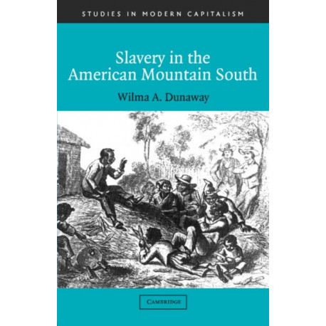 Slavery in the American Mountain South
