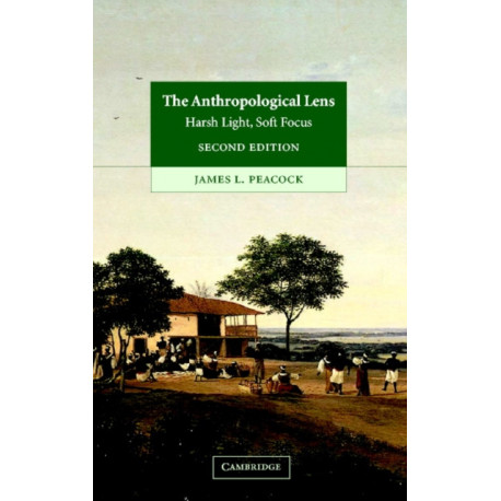 The Anthropological Lens: Harsh Light, Soft Focus