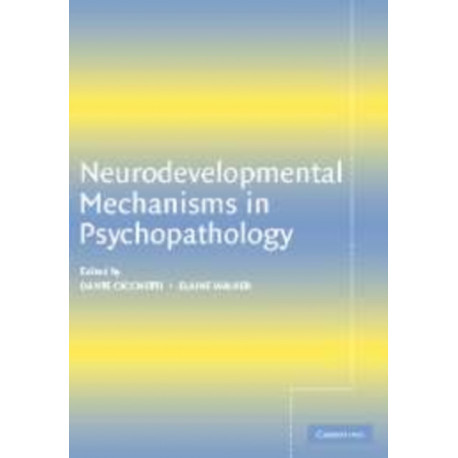 Neurodevelopmental Mechanisms in Psychopathology