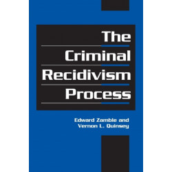 The Criminal Recidivism Process