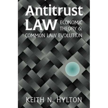 Antitrust Law: Economic Theory and Common Law Evolution