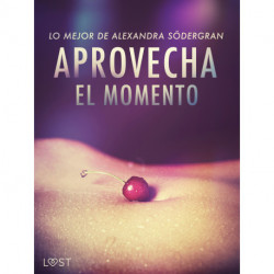 Aprovecha el momento: Lo mejor de Alexandra Södergran