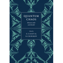 Quantum Chaos: Between Order and Disorder