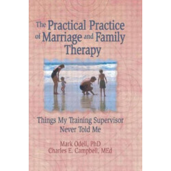 The Practical Practice of Marriage and Family Therapy: Things My Training Supervisor Never Told Me