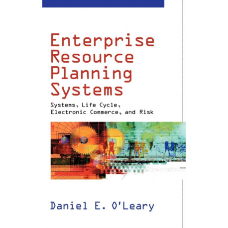 Enterprise Resource Planning Systems: Systems, Life Cycle, Electronic Commerce, and Risk