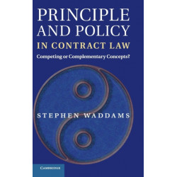 Principle and Policy in Contract Law: Competing or Complementary Concepts?