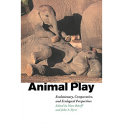 Animal Play: Evolutionary, Comparative and Ecological Perspectives