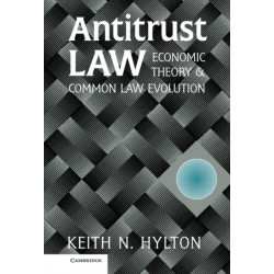 Antitrust Law: Economic Theory and Common Law Evolution