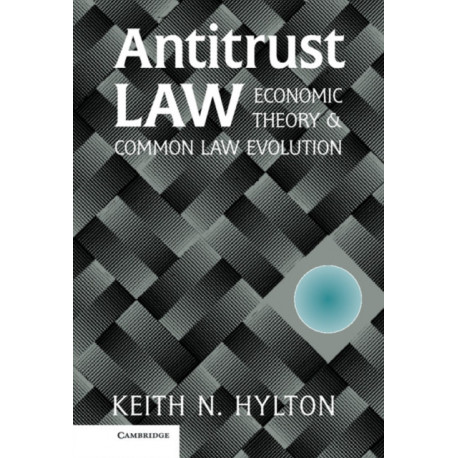 Antitrust Law: Economic Theory and Common Law Evolution