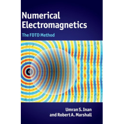 Numerical Electromagnetics: The FDTD Method