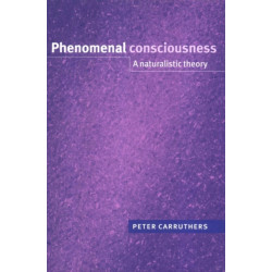 Phenomenal Consciousness: A Naturalistic Theory