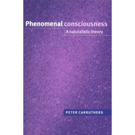 Phenomenal Consciousness: A Naturalistic Theory