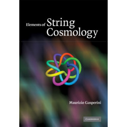 Elements of String Cosmology