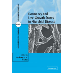 Dormancy and Low Growth States in Microbial Disease