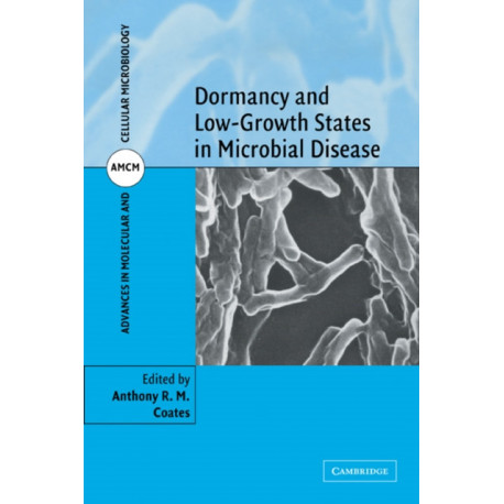 Dormancy and Low Growth States in Microbial Disease