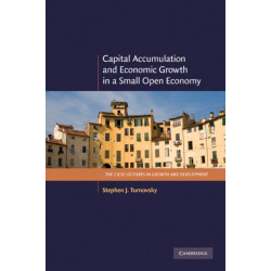 Capital Accumulation and Economic Growth in a Small Open Economy