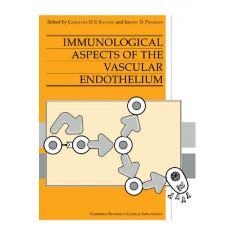 Immunological Aspects of the Vascular Endothelium