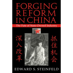Forging Reform in China: The Fate of State-Owned Industry