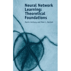 Neural Network Learning: Theoretical Foundations
