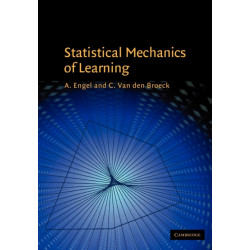 Statistical Mechanics of Learning