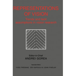 Representations of Vision: Trends and Tacit Assumptions in Vision Research
