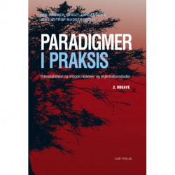 Paradigmer i praksis: Videnskabsteori og metode i ledelses- og organisationsstudier