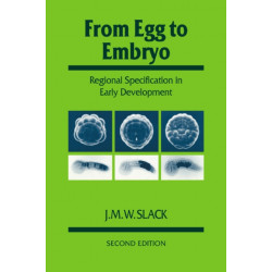 From Egg to Embryo: Regional Specification in Early Development