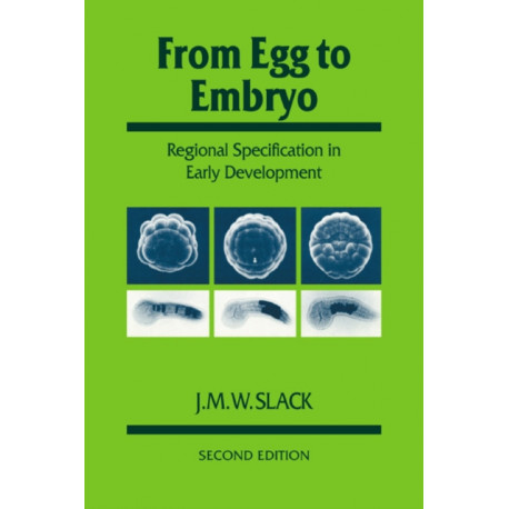 From Egg to Embryo: Regional Specification in Early Development