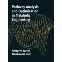 Pathway Analysis and Optimization in Metabolic Engineering