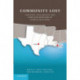 Community Lost: The State, Civil Society, and Displaced Survivors of Hurricane Katrina