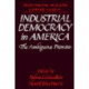 Industrial Democracy in America: The Ambiguous Promise