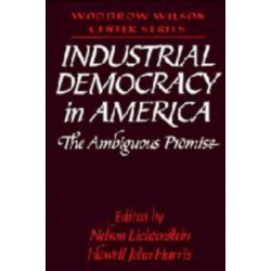 Industrial Democracy in America: The Ambiguous Promise