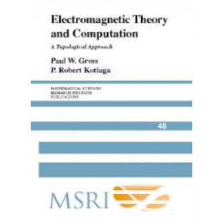 Electromagnetic Theory and Computation: A Topological Approach