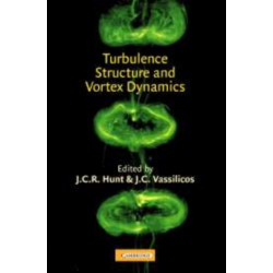 Turbulence Structure and Vortex Dynamics