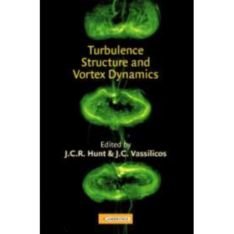 Turbulence Structure and Vortex Dynamics