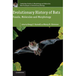Evolutionary History of Bats: Fossils, Molecules and Morphology