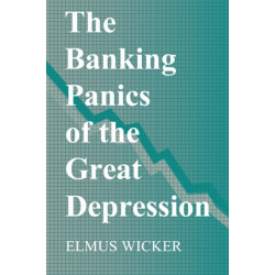 The Banking Panics of the Great Depression