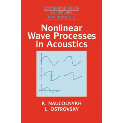 Nonlinear Wave Processes in Acoustics