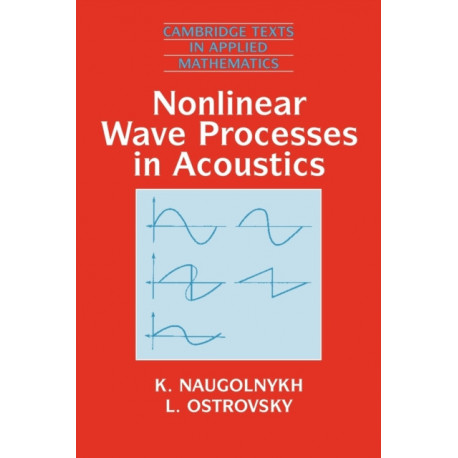 Nonlinear Wave Processes in Acoustics