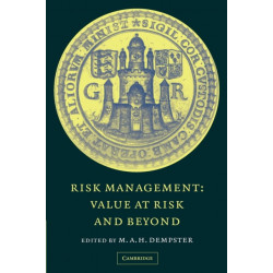 Risk Management: Value at Risk and Beyond