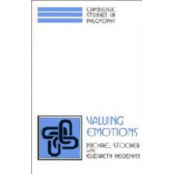 Valuing Emotions