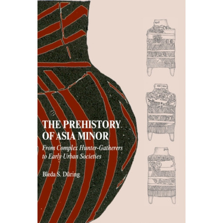 The Prehistory of Asia Minor: From Complex Hunter-Gatherers to Early Urban Societies